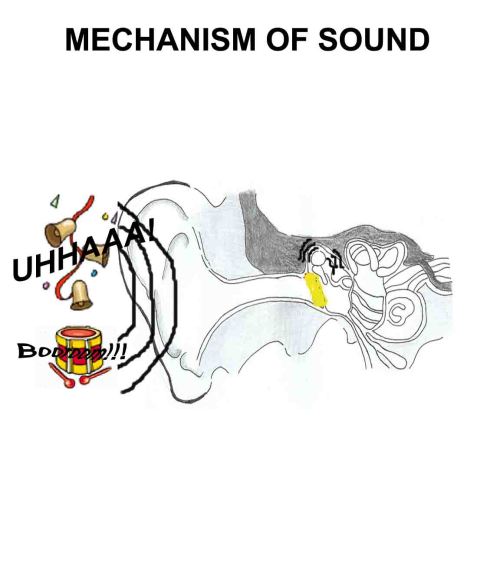 between your temples