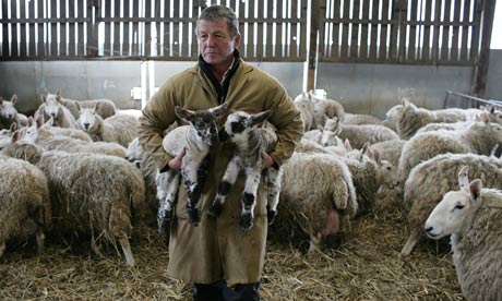 Shepherd-Andy-Jackman-in--001