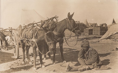 6628320519_15837a5ba0_z