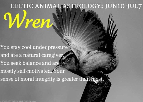 tumblr_m0ud21RHgT1r3z3gbo1_1280