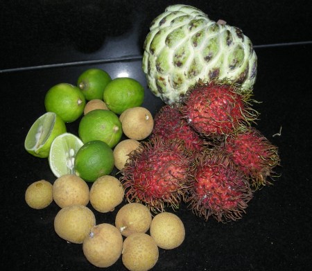 tropical-fruit-4a