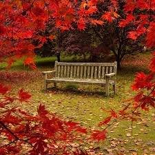 autumn garden