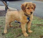 20090329285805_img_0240-jpg_w450